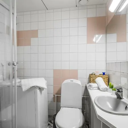 Borg Ankkurikari * Pori