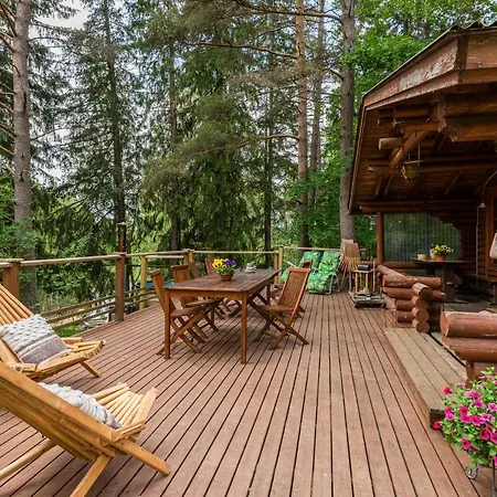 Borg Ankkurikari Pori