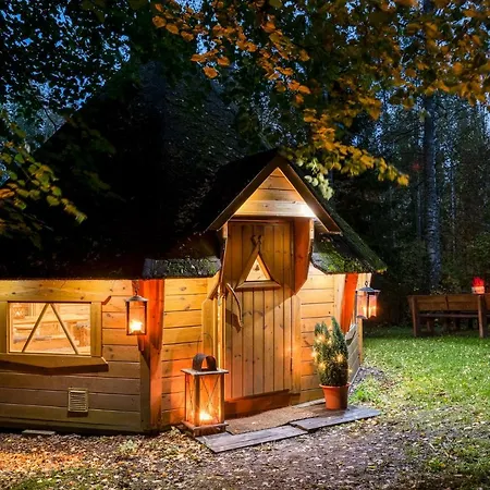 Dom wakacyjny Borg Ankkurikari