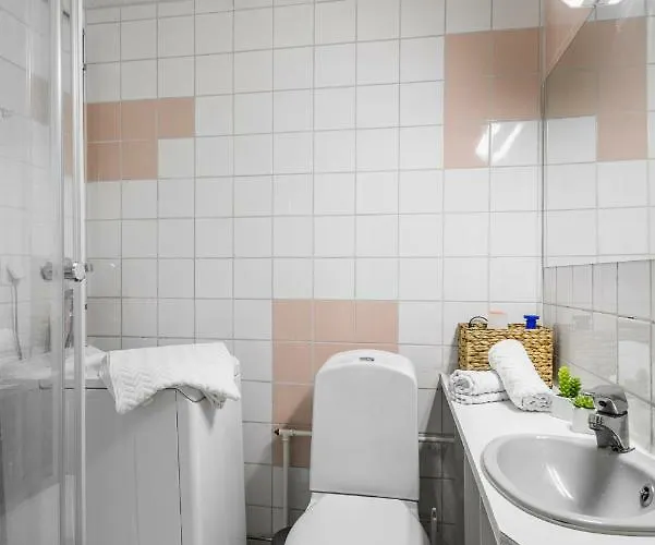 Borg Ankkurikari * Пори