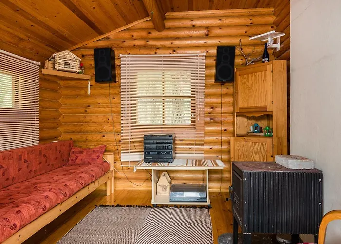 Borg Ankkurikari Пори