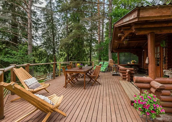 Borg Ankkurikari Пори