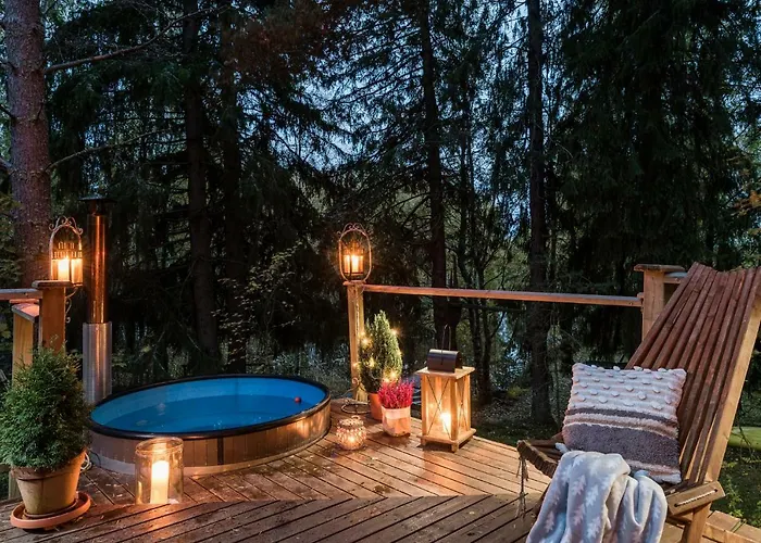 Borg Ankkurikari * Пори